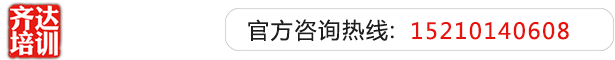 日老骚熟逼齐达艺考文化课-艺术生文化课,艺术类文化课,艺考生文化课logo